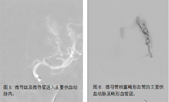 未标题-6.jpg